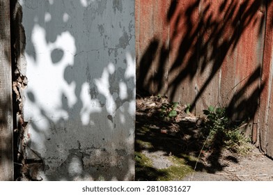 Contrast abstract composition of sharp tree branch shadows projected onto a white concrete column and a weathered red wooden fence in a village backyard.