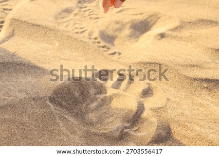 The contrast between light and shadow is moderate to high.