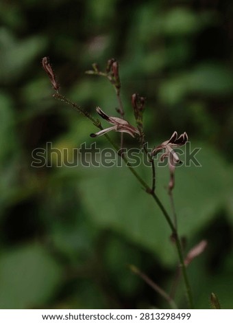 Nature’s contrast at its finest.
