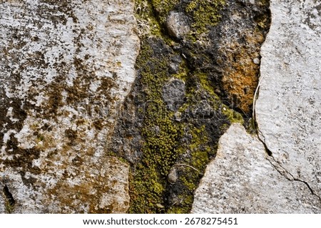 Contrast texture background of a smooth, weathered white stone surface next to a rough, dark crevice filled with vibrant green moss
