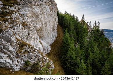 Contrasting landscape showcasing a steep white rocky cliff face juxtaposed with a dense coniferous forest in apuseni mountains, romania - Powered by Shutterstock