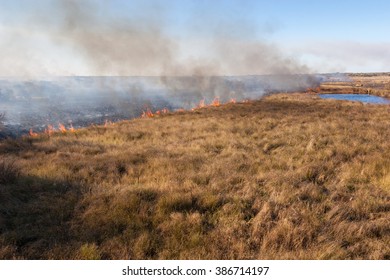A Controlled Burn In A Field