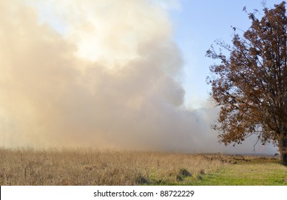 A Controlled Burn In A Field Near The Forest.