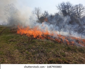 Controlled Burning Of Vegetation, Smoke And Fire