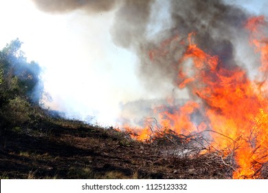 Controlled Firebreak Burning