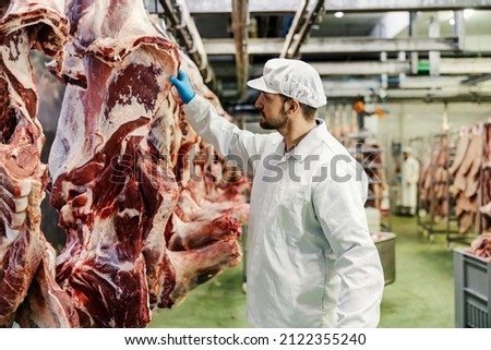 A controller looking at pork and checking on it at meat factory.