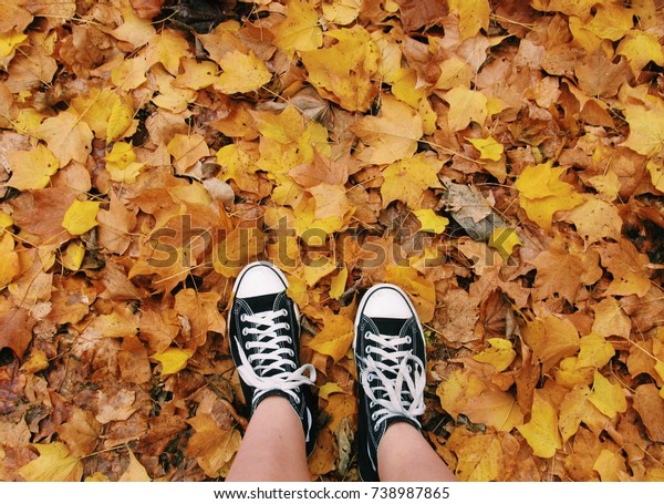 converse autumn