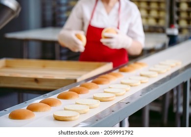 Conveyor belt in a bakery with newly baked buns - Shutterstock ID 2059991792