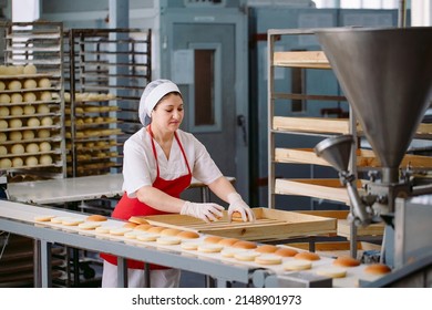 Conveyor belt in a bakery with newly baked buns - Shutterstock ID 2148901973