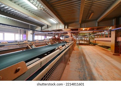 Conveyor Belt To Carry Powder Fertilizer Of Potassium Salt