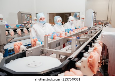 Conveyor Belt Food.The Meat Factory. Chicken Fillet Production Line . Factory For The Production Of Food From Meat.Modern Poultry Processing Plant.