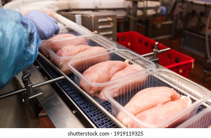 Conveyor Belt Food.Factory for the production of food from meat.Production line with packaging .Food products meat chicken in plastic packaging on the conveyor. - Powered by Shutterstock