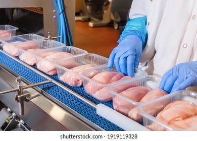 Conveyor Belt Food.Factory for the production of food from meat.Production line with packaging .Food products meat chicken in plastic packaging on the conveyor.