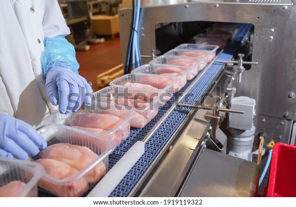 Conveyor Belt Food.Factory for\
the production of food from meat.Production line with packaging\
.Food products meat chicken in plastic packaging on the\
conveyor.