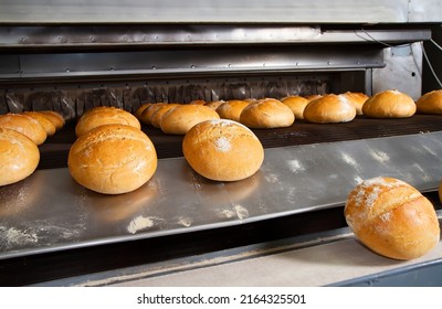 Conveyor belt with loaves of bread at the bakery. Production of bread at an industrial enterprise. - Powered by Shutterstock