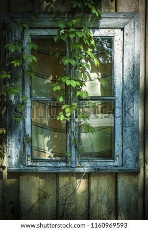 Similar – Rusty window with flower pots