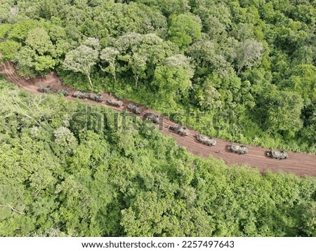 The convoy of Armoured military vehicles in the middle of jungle road