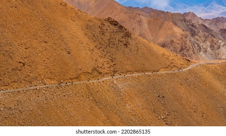 Convoy Of Bikers Riding Mountain Road Of Ladakh, Northern India. Beautiful Landscape Of Ladakh, Highest Plateau In India.