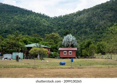 Conway Beach, Queensland, Australia - December 2021: Small Hut And House Painted The Same Color With A Horse In The Front Yard And A Forested Mountain Background