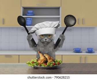 Cook Cat Sitting Kitchen Going Eat Stock Photo 790628215 | Shutterstock