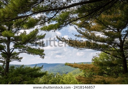 Cook Forest State Park and Clarion River Lands in scenic northwestern Pennsylvania, USA