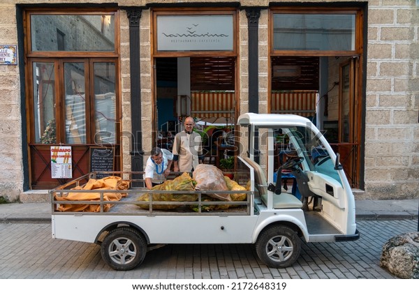 Cook in front of a cart for distribution of\
agricultural products in a restaurant in Old Havana. Havana. Cuba.\
December 30, 2019.
