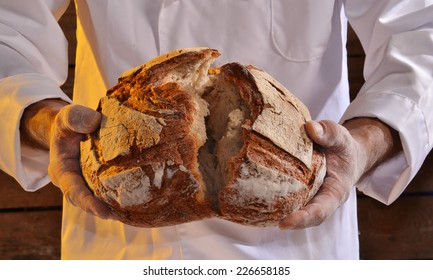 Cook holding fresh bread. Baker holding a fresh bread taken out of the oven. - Powered by Shutterstock