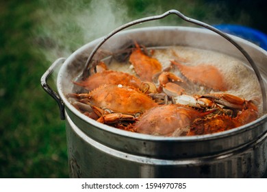 Cooked Blue Crabs Boil In A Giant Pot At A Carolina Crab Boil