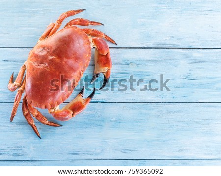 Cooked brown crab or edible crab isolated on the blue wooden table.
