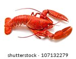 Cooked European common lobster isolated on a white studio background.