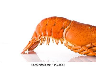 Cooked Fresh Lobster Tail On White Background