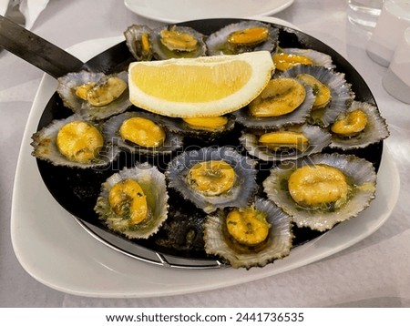 Cooked Lapas limpets mussels with garlic, herbs and lemon on a plate close up