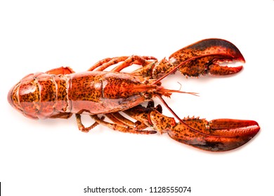 Cooked lobster isolated on white, Steam Canadian lobster isolated on white background.