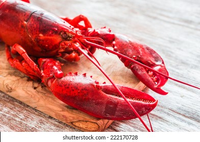 Cooked lobster on wooden background