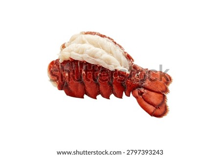 Cooked lobster tail meat with shell isolated on white background.