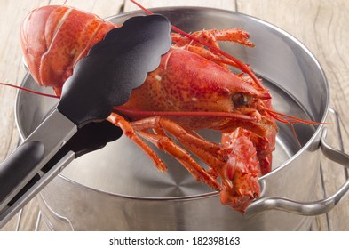 Cooked Lobster Is Taken From A Pot