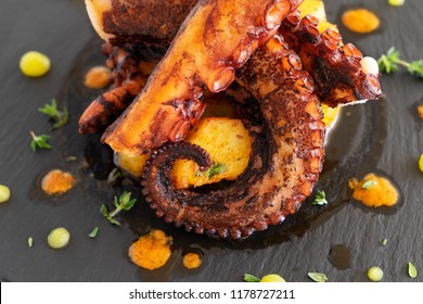 Cooked Octopus Dish