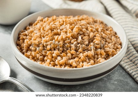 Cooked Organic Farro Grain in a Bowl for Dinner