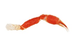 Cooked Peruvian Southern King Crab Leg Isolated On A White Background. Crab Claws Isolated On White Background