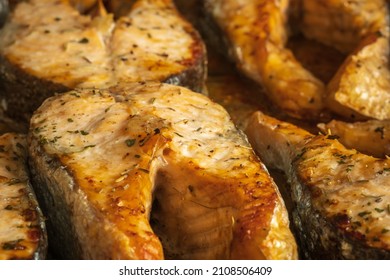 Cooked Salmon Filets On Baking Tray Closeup