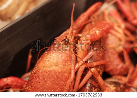 Cooked and seasoned crawfish (crayfish crawdad) close up picture: Ready to be served.