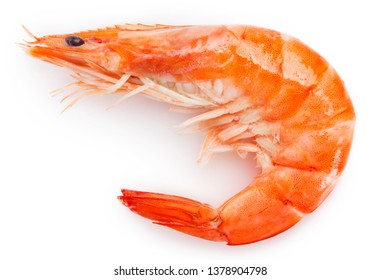 Cooked Shrimp Isolated On White Background