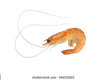 Cooked Shrimp On A White Background And Have Clipping Paths For Design.