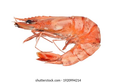 Cooked Tiger Prawn Isolated On White