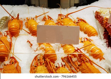 Cooked Western Australia Rock Lobsters Display With White Label. Background Of Whole Lobster Ready To Takeaways