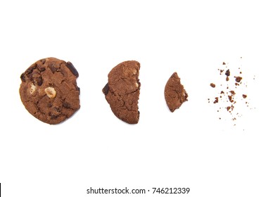 Cookie - Powered by Shutterstock