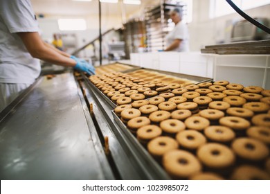 Cookie factory, food industry. Fabrication. Cookie production. - Shutterstock ID 1023985072