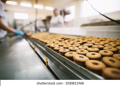 Cookie Factory, Food Industry. Fabrication. Cookie Production.