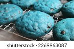 cookie for the cookie monster with blue color and abundant chocolate filling on the tray after baking