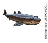 Cookiecutter sharks are small, deep-sea sharks named for their unique feeding method. They bite circular chunks from larger animals, leaving distinctive cookie-shaped wounds.